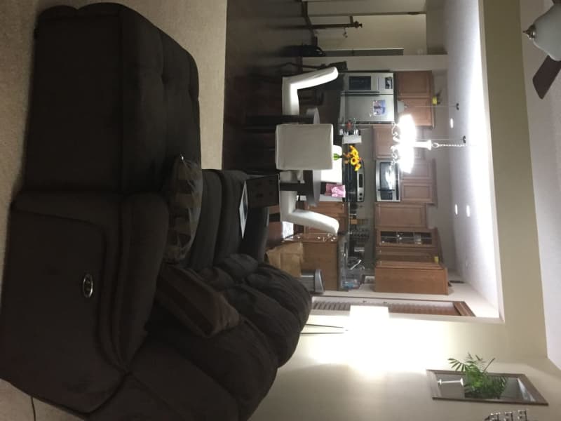 Housesitting assignment in Minneapolis, Minnesota, United States