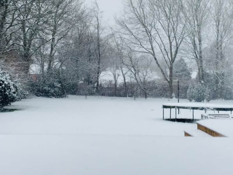 Housesitting assignment in Meanwood, United Kingdom