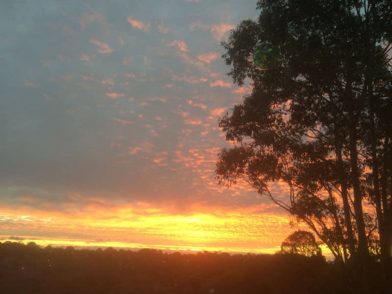 Housesitting assignment in Frankston, Victoria, Australia