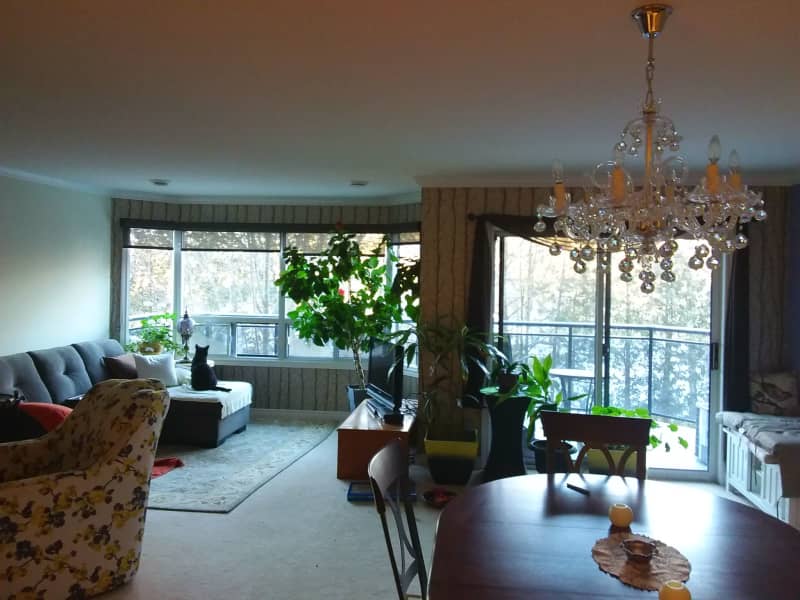 Housesitting assignment in Stratford, Ontario, Canada