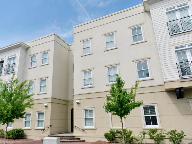 Housesitting assignment in Savannah, Georgia, United States