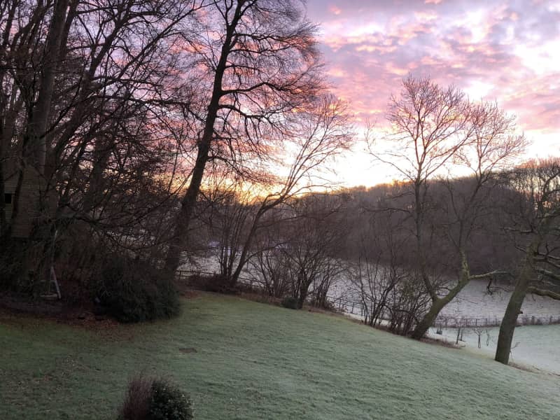 Housesitting assignment in Chawton, United Kingdom