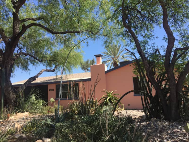 Housesitting assignment in Tucson, Arizona, United States