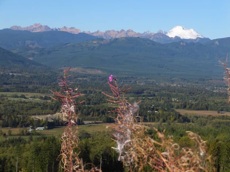 Housesitting assignment in Sedro-Woolley, Washington, United States