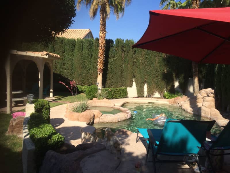 Housesitting assignment in Summerlin South, Nevada, United States