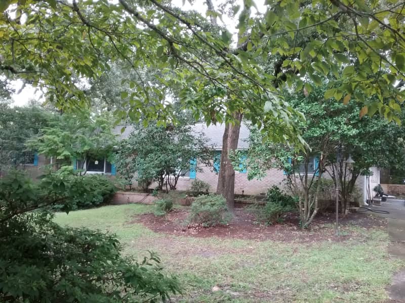 Housesitting assignment in Wilmington, North Carolina, United States