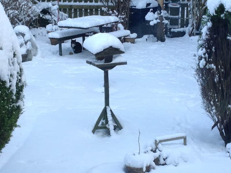 Housesitting assignment in Elderslie, United Kingdom
