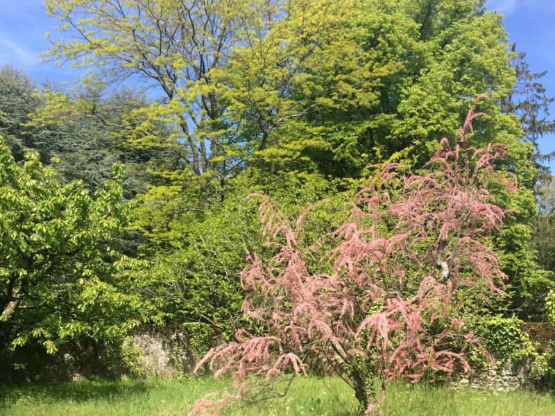 Housesitting assignment in Etoy, Switzerland