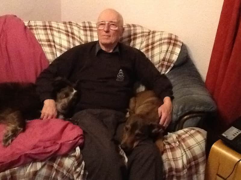 Housesitting assignment in Boat of Garten, United Kingdom