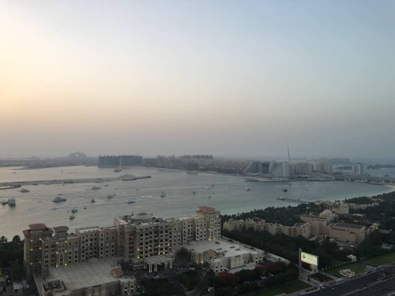 Housesitting assignment in Dubai Marina, United Arab Emirates