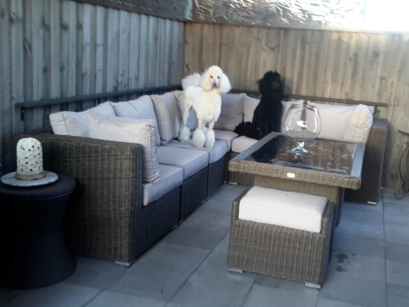 Housesitting assignment in Mernda, Victoria, Australia