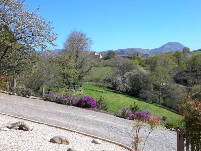 Housesitting assignment in Oviedo, Spain
