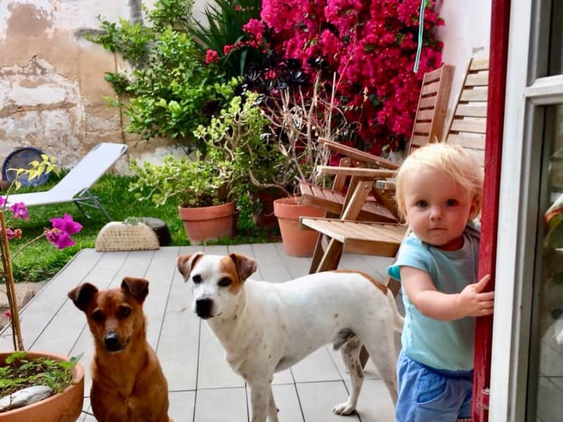 Housesitting assignment in Palma, Spain
