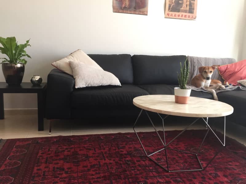 Housesitting assignment in Dubai Festival City, United Arab Emirates