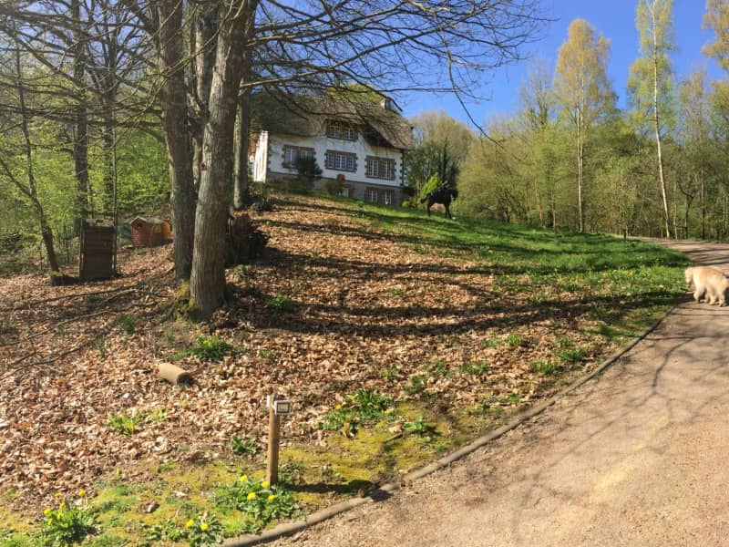 Housesitting assignment in Putanges-Pont-Écrepin, France