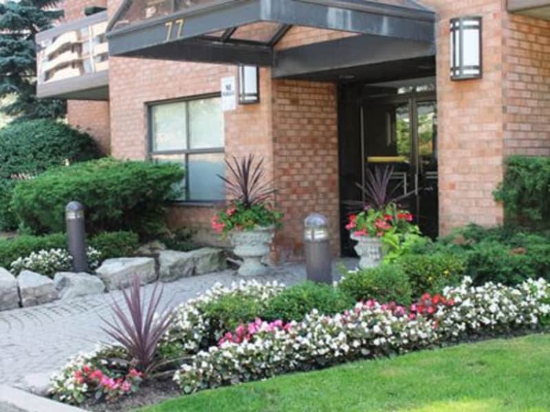 Housesitting assignment in Toronto, Ontario, Canada