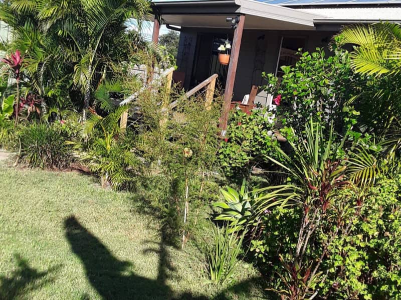 Housesitting assignment in Childers, Queensland, Australia