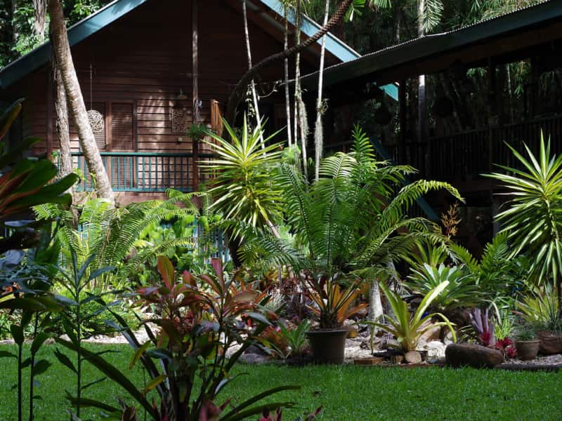 Housesitting assignment in Kuranda, Queensland, Australia