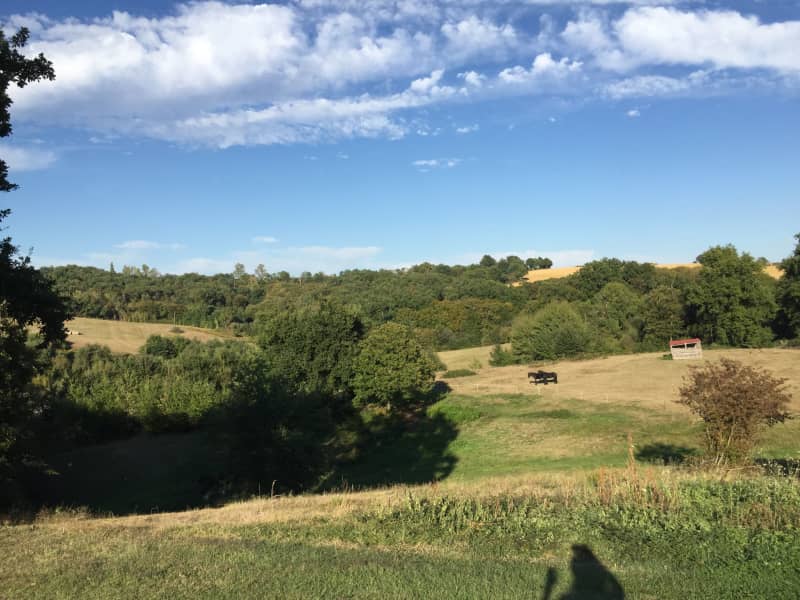 Housesitting assignment in Eauze, France