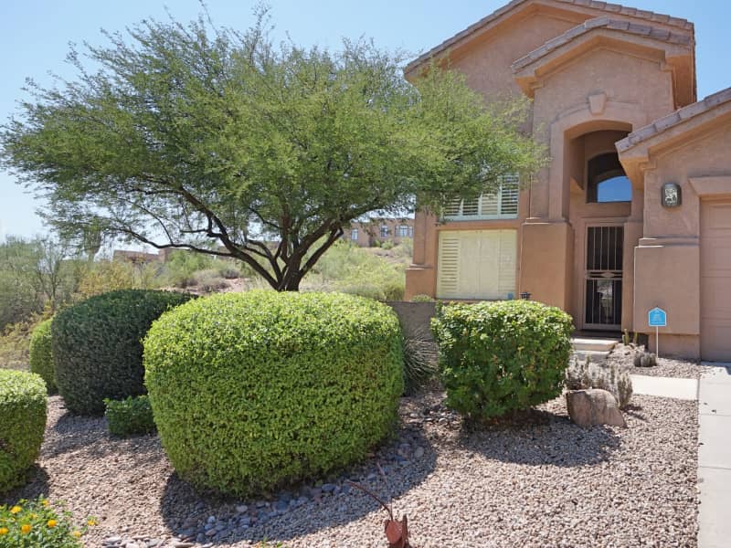 Housesitting assignment in Scottsdale, Arizona, United States