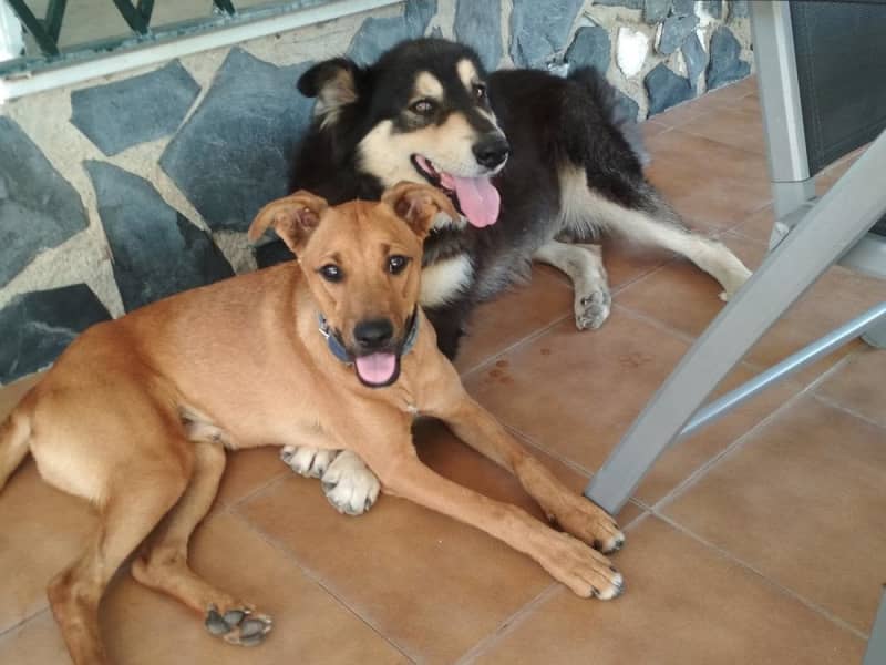 Marita & Johannes from Santiago de Veraguas, Panama