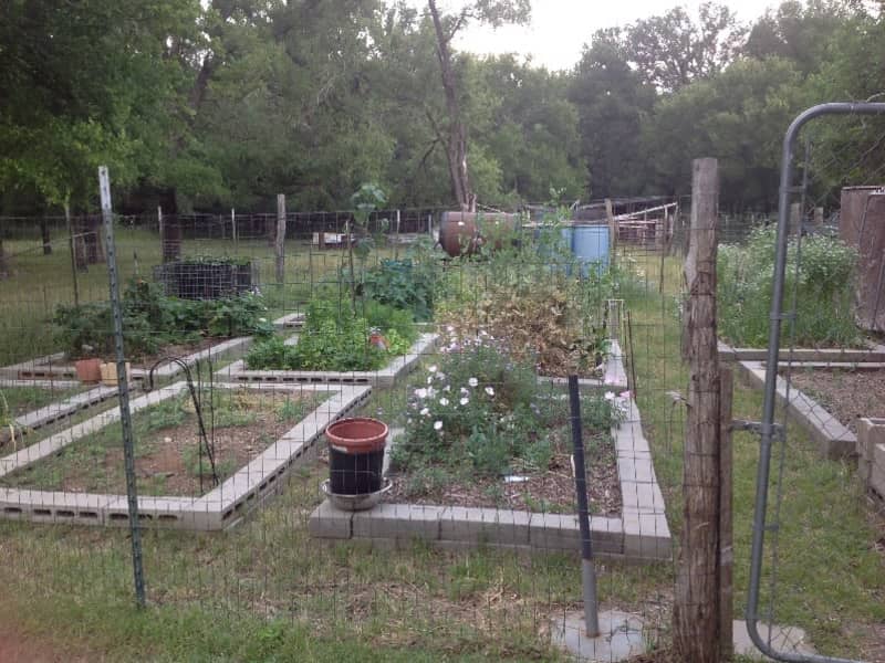 Housesitting assignment in Grandview, Texas, United States