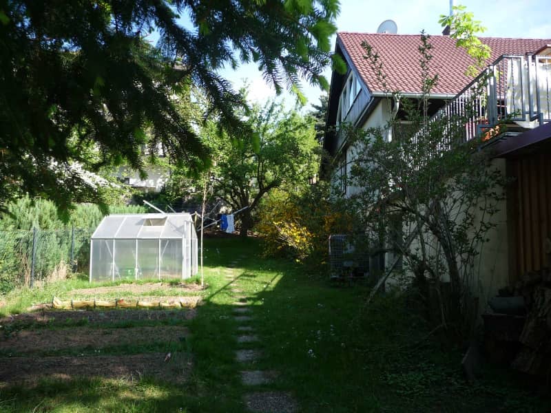 Housesitting assignment in Lindenfels, Germany
