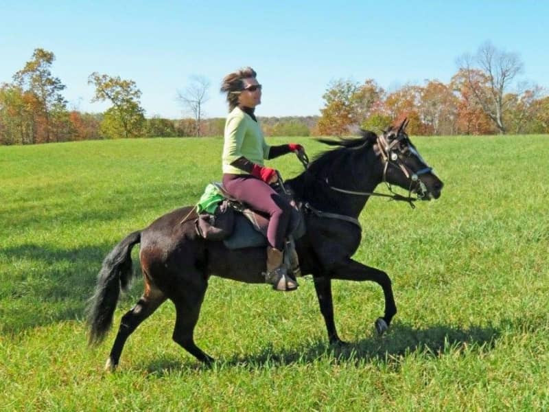 Marai from Renicks Valley, West Virginia, United States