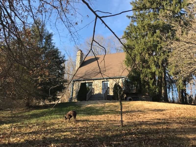 Housesitting assignment in Kansas City, Missouri, United States