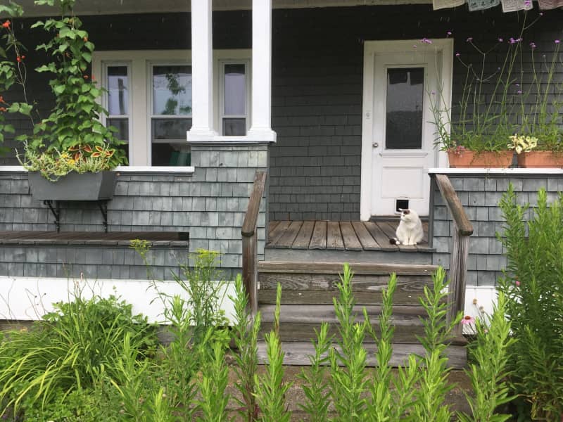 Housesitting assignment in Berlin, New Hampshire, United States