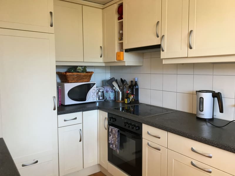 Housesitting assignment in Gryon, Switzerland