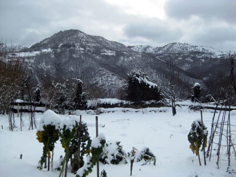 Housesitting assignment in Florac, France