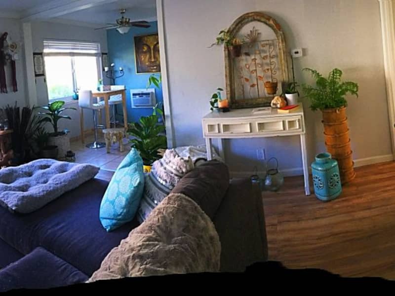 Housesitting assignment in Belmont, California, United States
