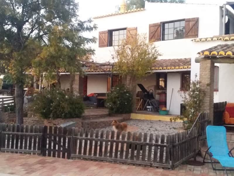 Housesitting assignment in Loulé, Portugal