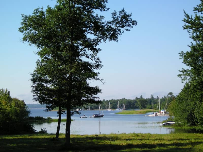 Housesitting assignment in Douglas Harbour, New Brunswick, Canada