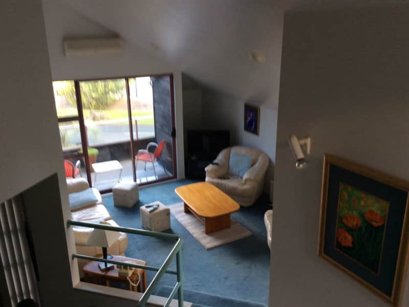 Housesitting assignment in Auckland, New Zealand