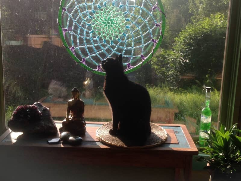 Housesitting assignment in Accord, New York, United States