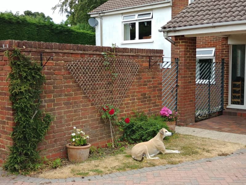 Housesitting assignment in Gillingham, United Kingdom