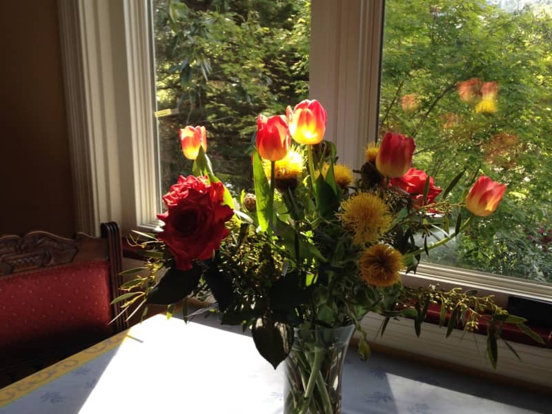 Housesitting assignment in Oakland, California, United States