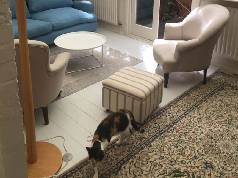 Housesitting assignment in Willesden, United Kingdom