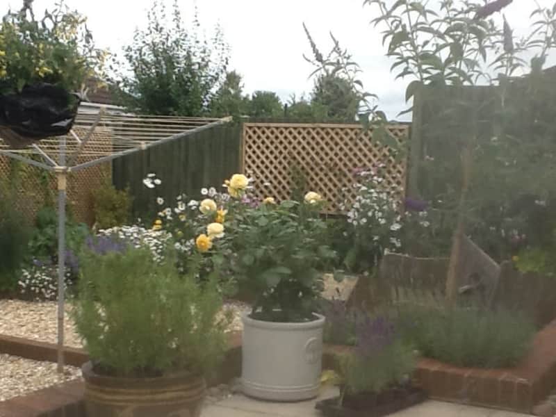 Housesitting assignment in Templecombe, United Kingdom