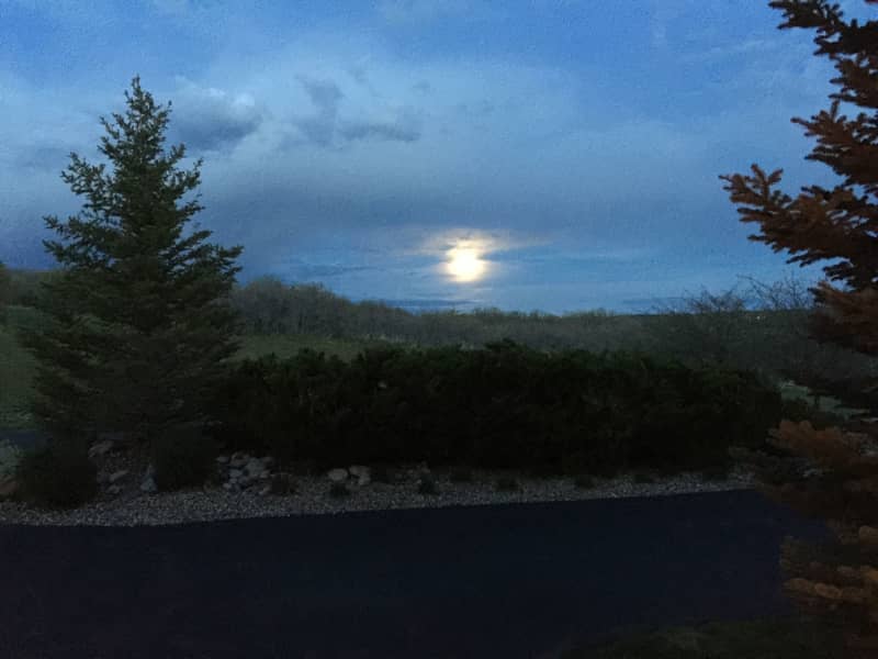 Housesitting assignment in Sedalia, Colorado, United States