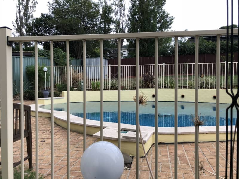 Housesitting assignment in Camden South, New South Wales, Australia