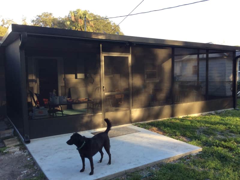 Housesitting assignment in Saint Cloud, Florida, United States