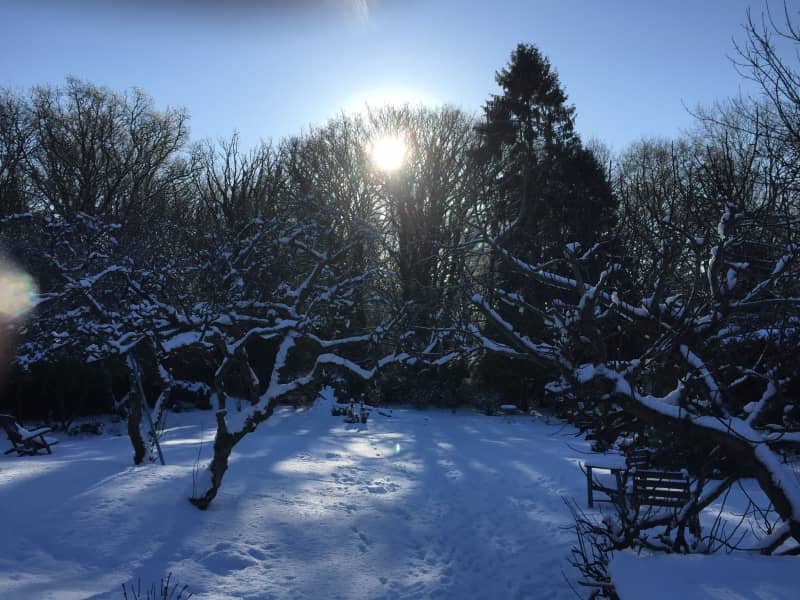 Housesitting assignment in East Knoyle, United Kingdom