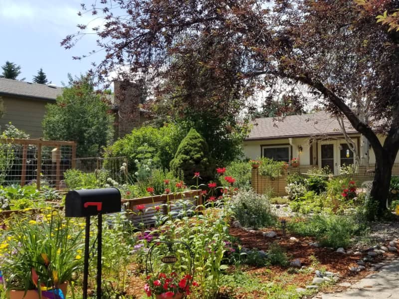 Housesitting assignment in Longmont, Colorado, United States