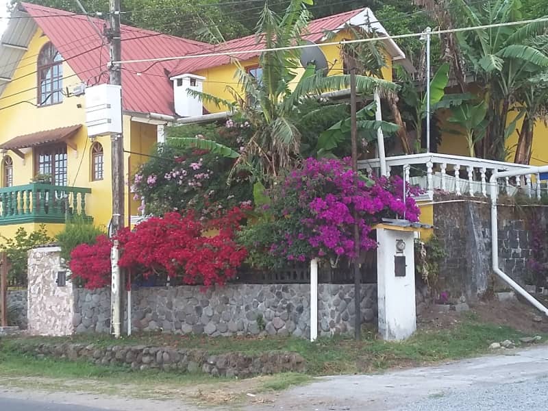 Housesitting assignment in Volcán, Panama