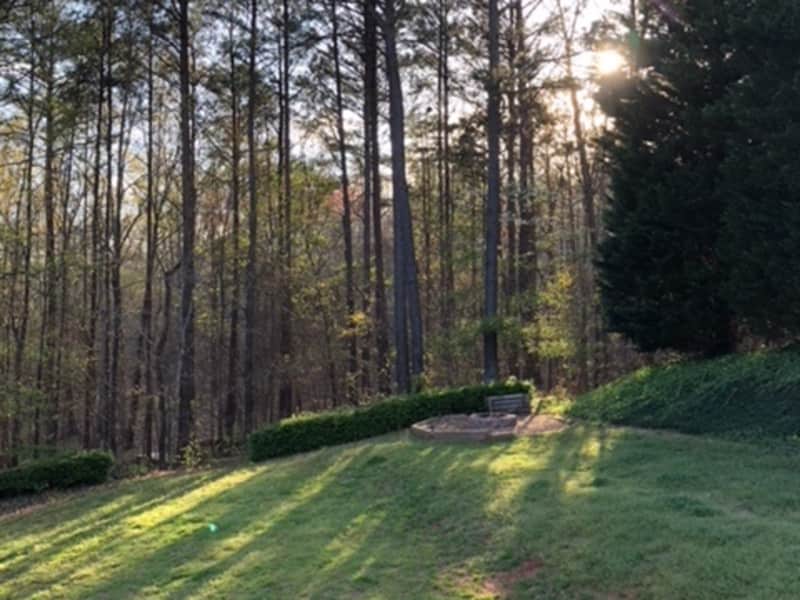 Housesitting assignment in Douglasville, Georgia, United States