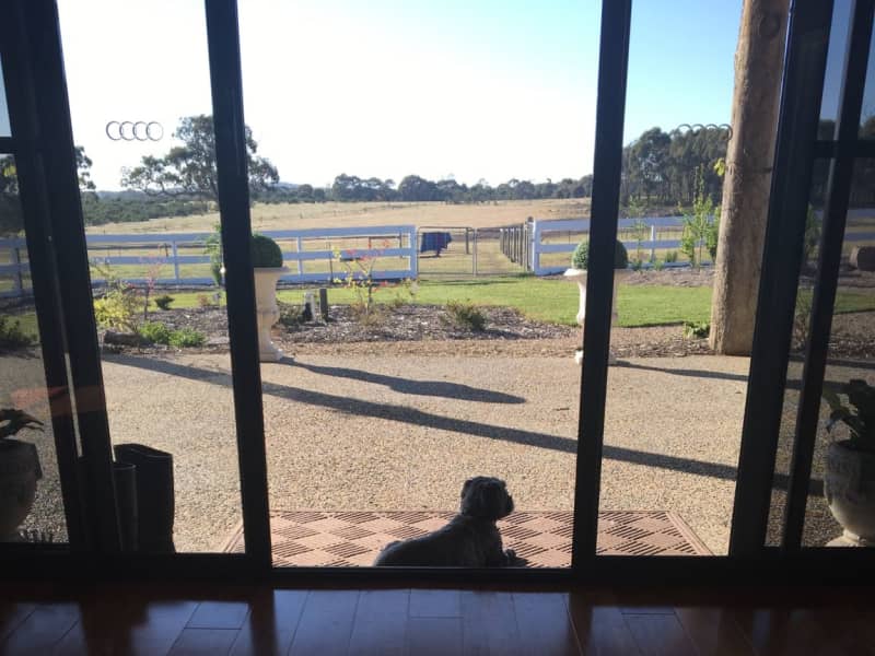 Housesitting assignment in Heathcote, Victoria, Australia