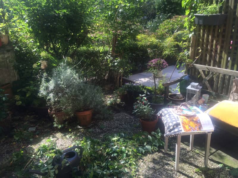 Housesitting assignment in Amsterdam, Netherlands
